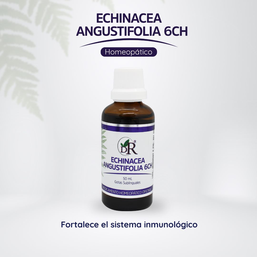 Echinacea: Refuerza tu Inmunidad Naturalmente