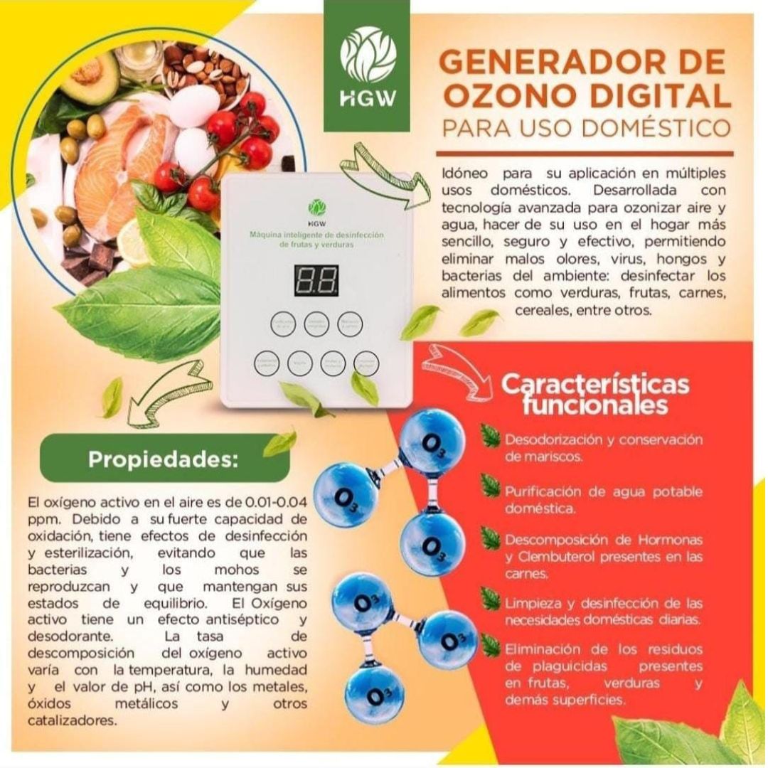 Generador de Ozono Digital casero de HGW