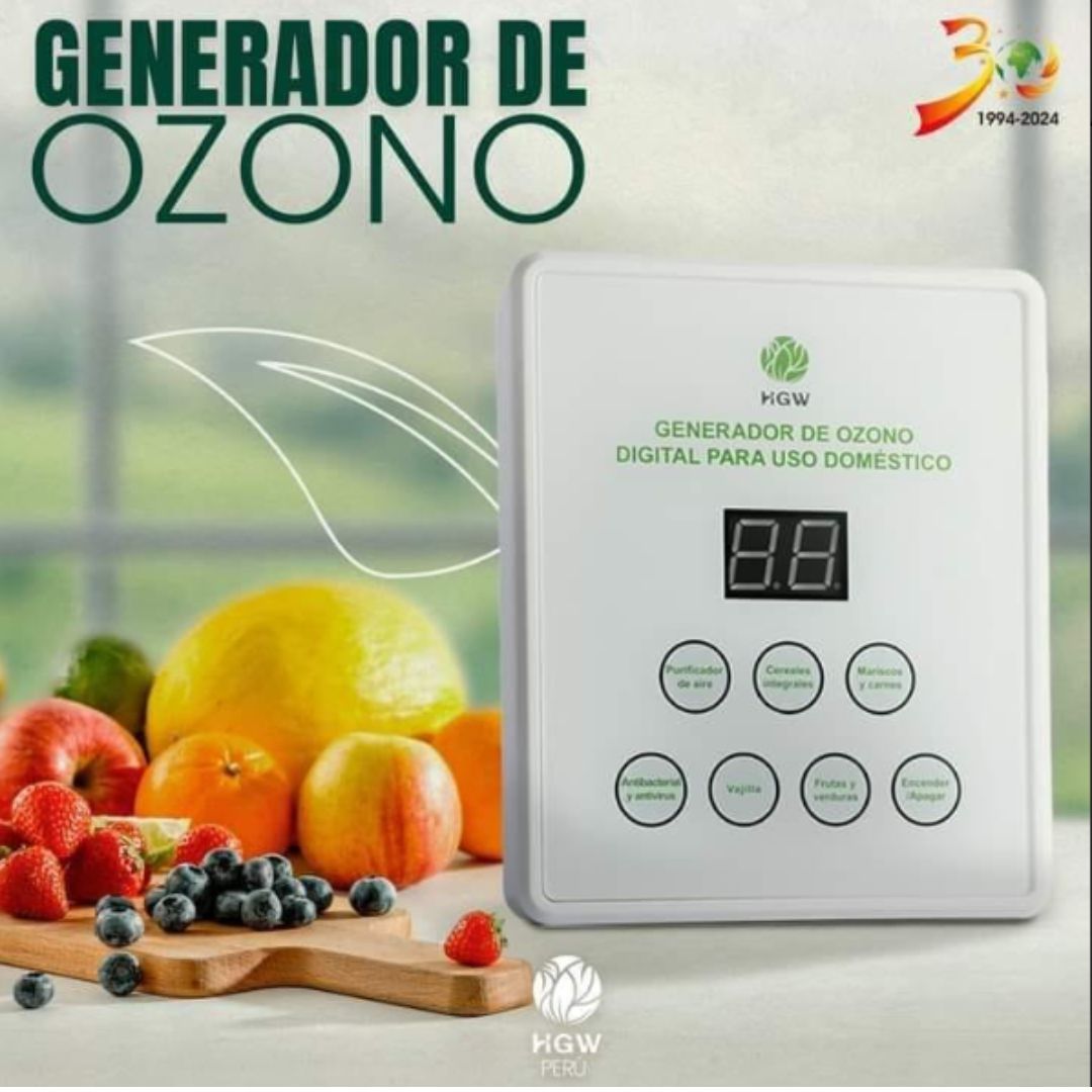 Generador de Ozono Digital casero de HGW