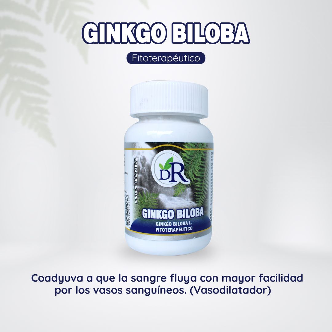 Ginkgo Biloba: Apoya tu circulación y salud vascular